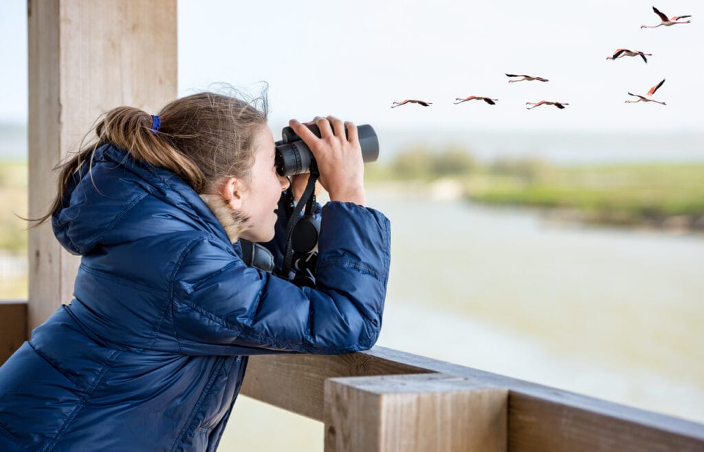 Young girl bird watching