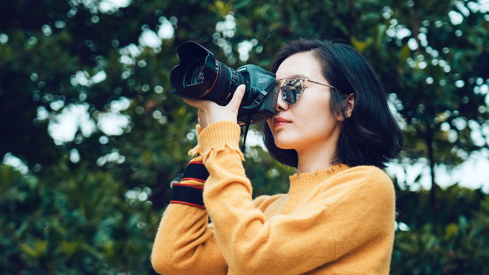 how to attract birds for photography