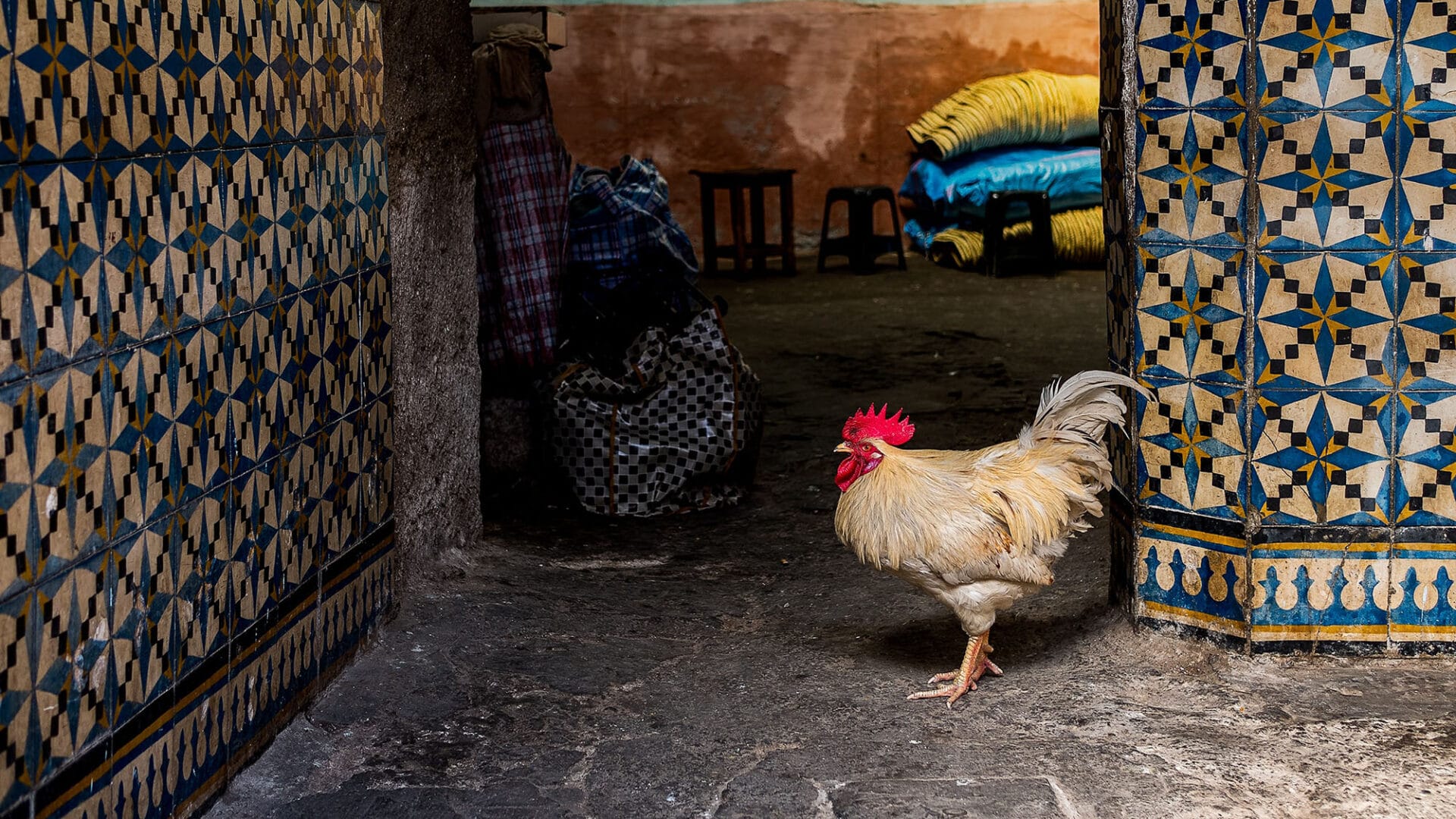 why don't we eat roosters