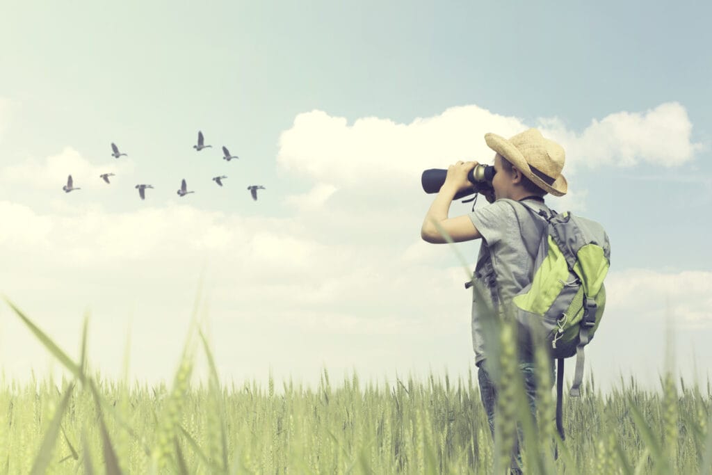 Young birdwatcher looks with his binoculars