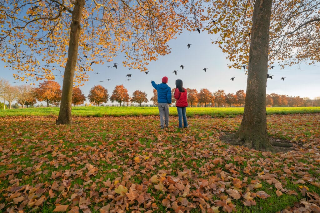 A photograph of two bird watching people surrounded by autumn colors
