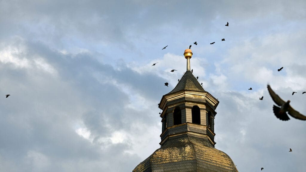 Birds on a church tower during storms