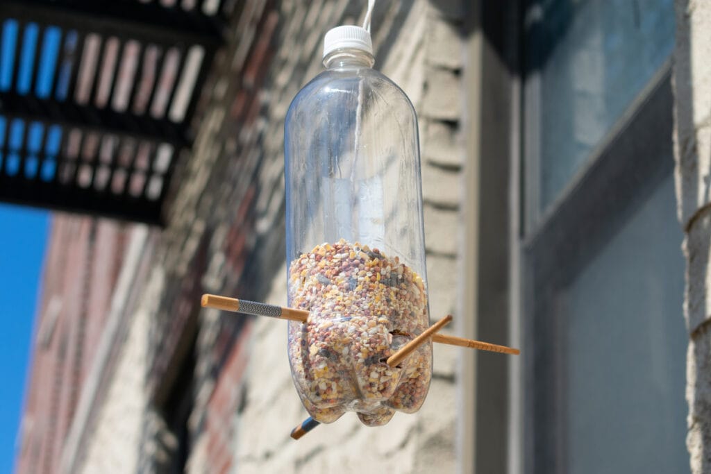 Homemade Plastic Bottle Bird Feeder Hanging Outside