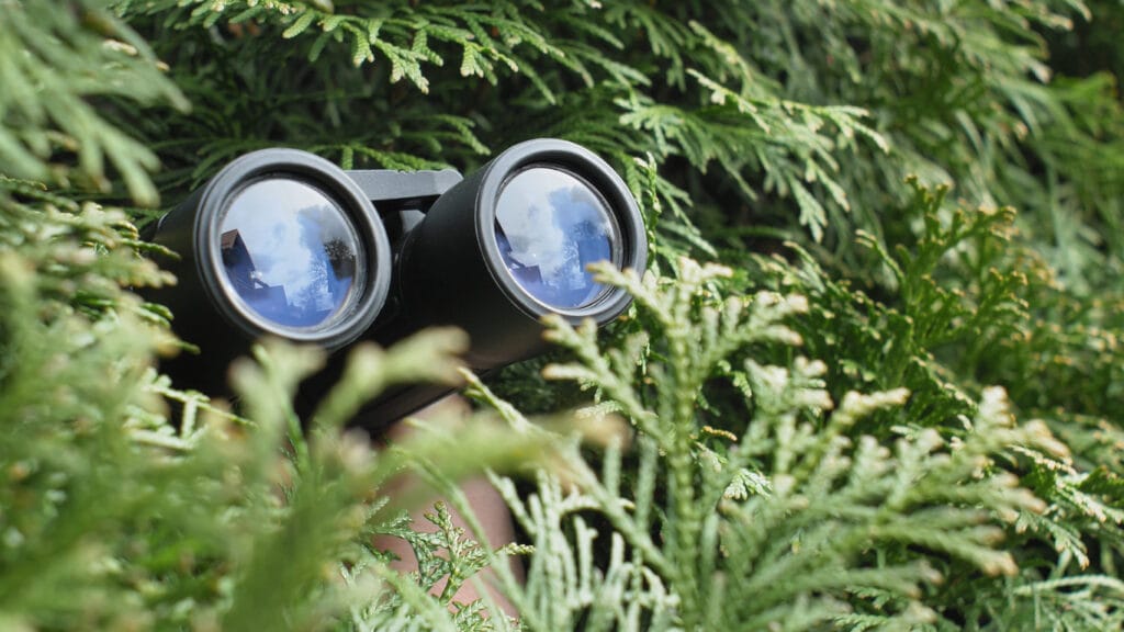 Person Hidden in Bush Peeping with Binoculars