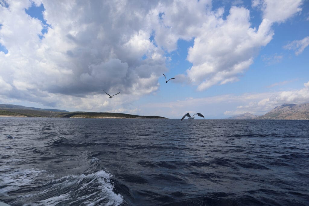 seagulls fly over a stormy sea on a cloudy day