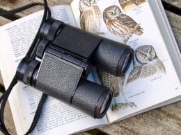 old binoculars vs new binoculars