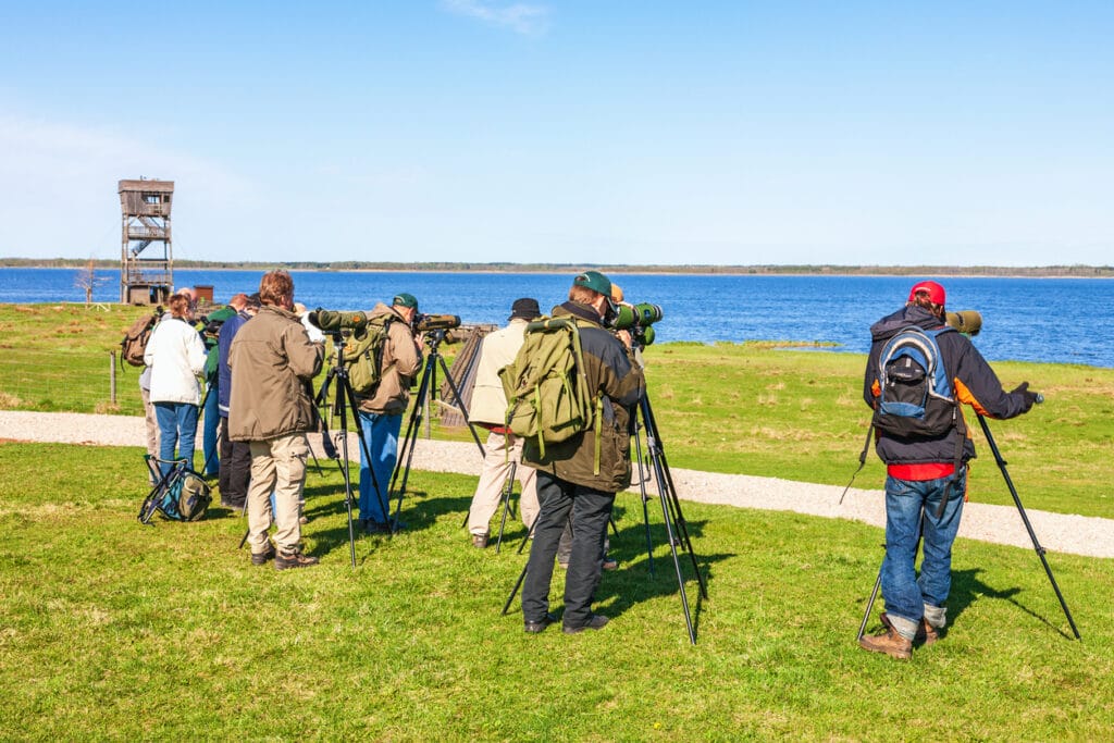 bird watching group