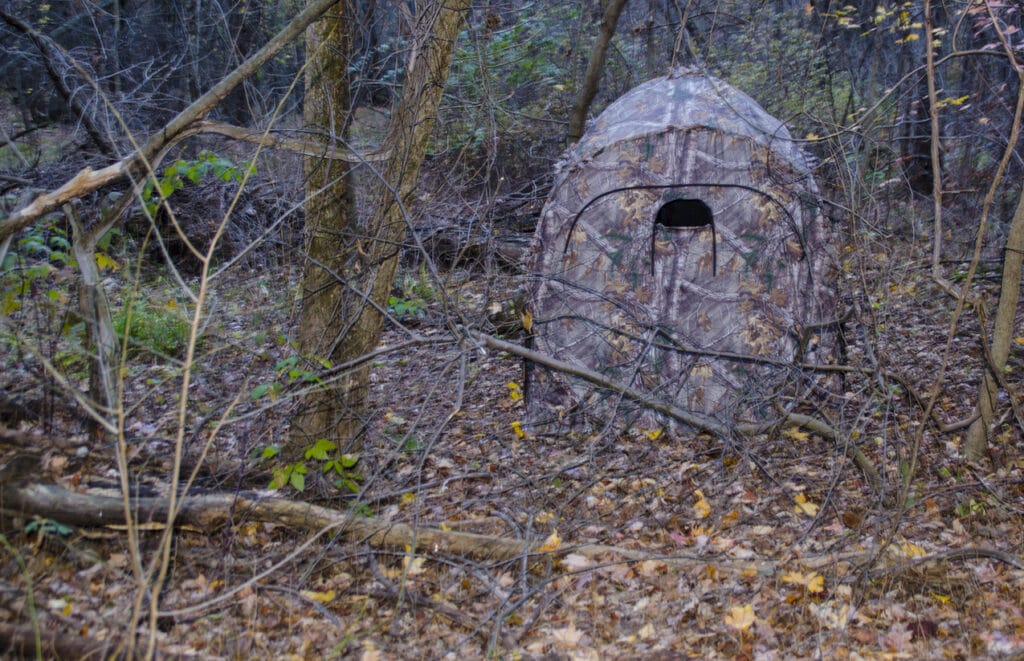 camo birding blind