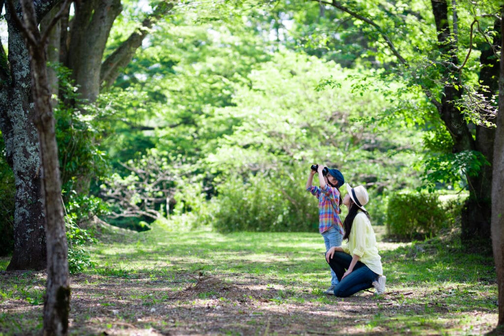 kid bird watching