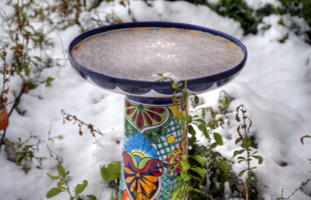 frozen bird bath