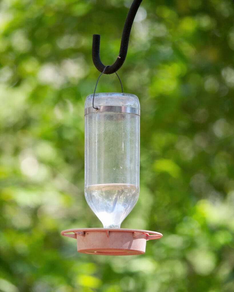 hummingbird feeder on a sheperds hook