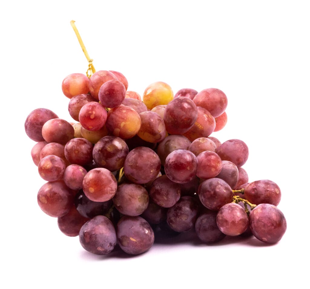 grapes to feed a duck