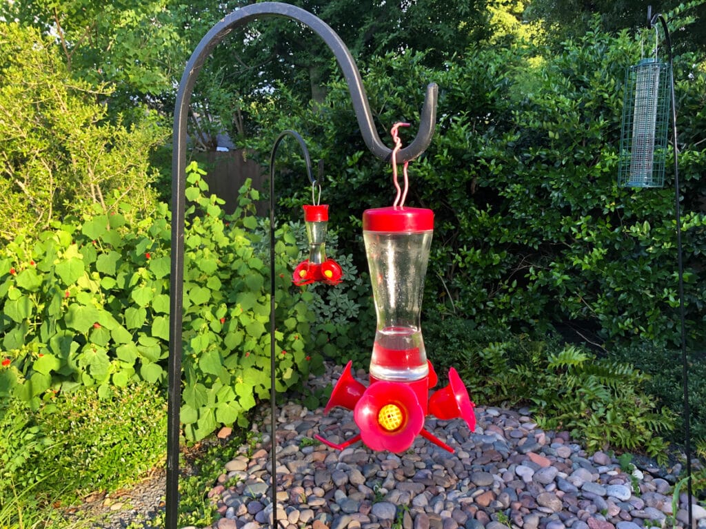 moving hummingbird feeders